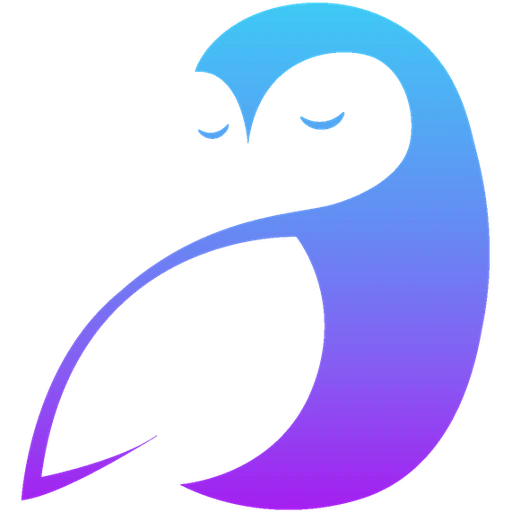 S.OWL 부엉이